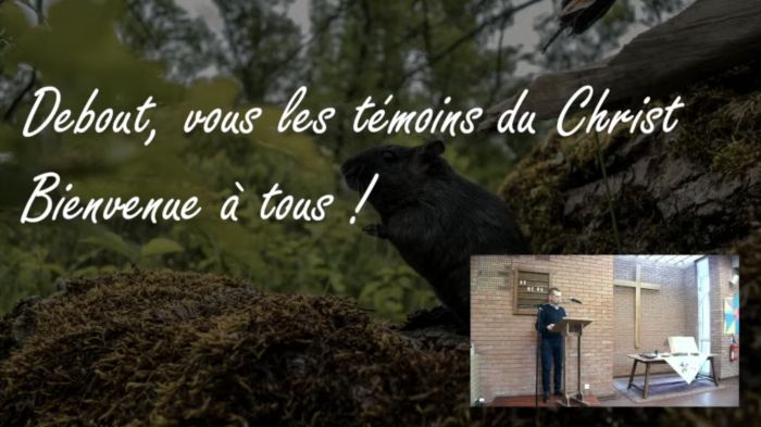 Culte du 8 février 2026 "Debout, vous les témoins du Christ" par Thierry Delaunay